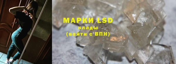 ПСИЛОЦИБИНОВЫЕ ГРИБЫ Абаза