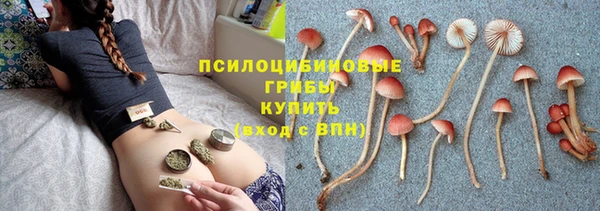 эйфоретик Абинск