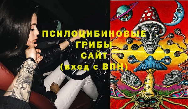 ПСИЛОЦИБИНОВЫЕ ГРИБЫ Абаза