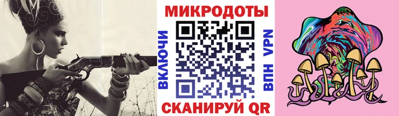 Псилоцибиновые грибы Psilocybine cubensis  Каменка 